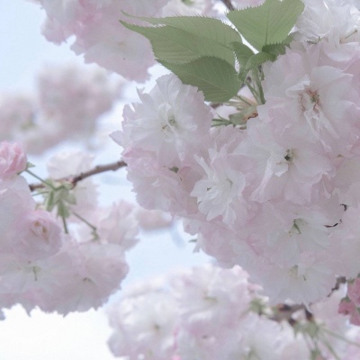 兽设比例设计基础教程福瑞群